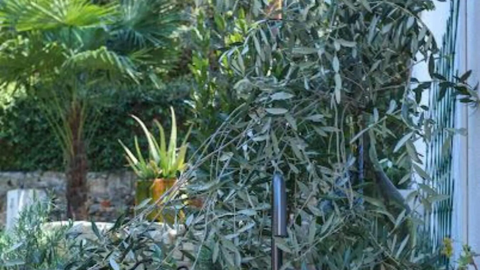 Casa San Antonio - Two Bedroom Apartment Rovinj Kroatië